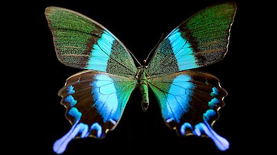 NOVA Season 51 Episode 2