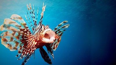 NOVA Season 51 Episode 20