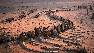 NOVA Season 53 Episode 9