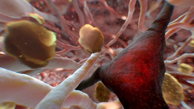 NOVA Season 14 Episode 4