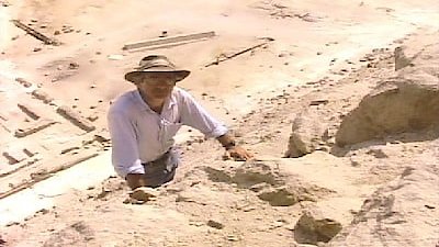 NOVA Season 20 Episode 12