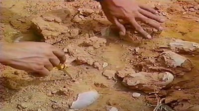 NOVA Season 21 Episode 13