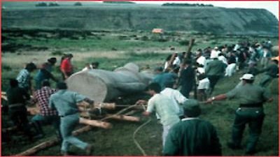 NOVA Season 27 Episode 14