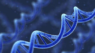 NOVA Season 28 Episode 16