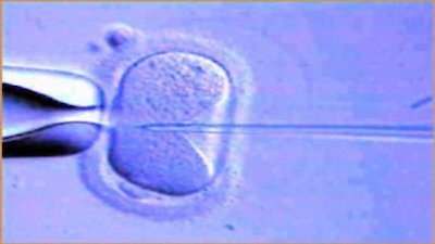 NOVA Season 29 Episode 2