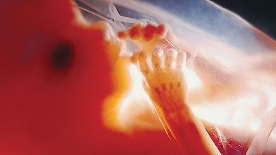 NOVA Season 29 Episode 7