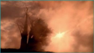 NOVA Season 29 Episode 8