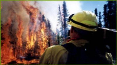 NOVA Season 29 Episode 17