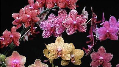 NOVA Season 30 Episode 7