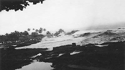 NOVA Season 32 Episode 16