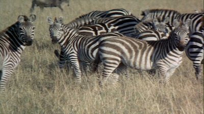 The Hardy Boys Nancy Drew Mysteries Season 2 Episode 6