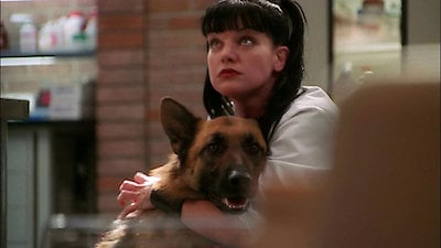 NCIS Season 5 Episode 13