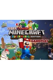 Minecraft Super Mario Edition Gameplay - Zebra Gamer