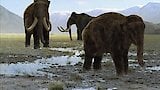 Mammoth Journey