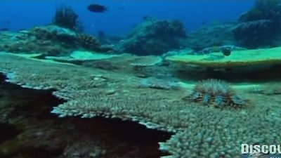 Fearless Planet Season 1 Episode 3