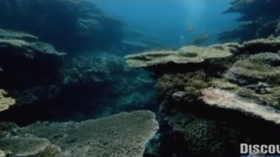 Fearless Planet Season 1 Episode 5