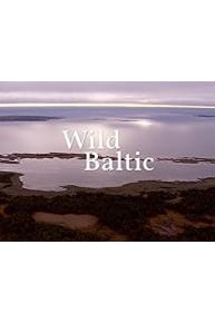 Wild Baltic