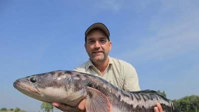 Monster Fish Season 4 Episode 10