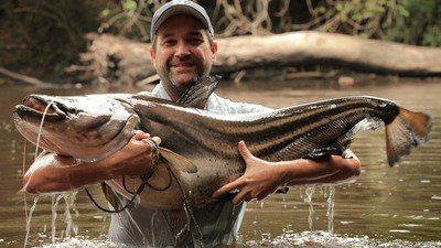 Watch Monster Fish Season 4 Episode 5 Jungle Jaws Online