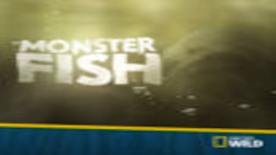 Monster Fish Season 6 Episode 2