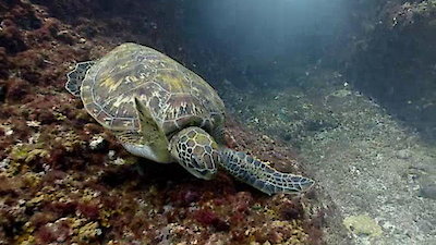 Arabian Seas Season 1 Episode 5