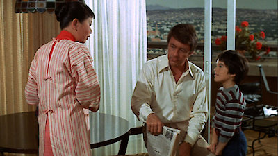 The Courtship Of Eddie's Father Season 2 Episode 17