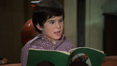 The Courtship Of Eddie's Father Season 2 Episode 13