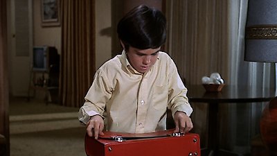 The Courtship Of Eddie's Father Season 2 Episode 22