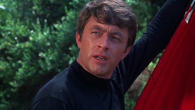 The Courtship Of Eddie's Father Season 1 Episode 13