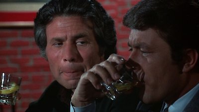 The Courtship Of Eddie's Father Season 1 Episode 12