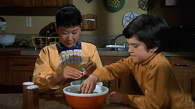 The Courtship Of Eddie's Father Season 2 Episode 24