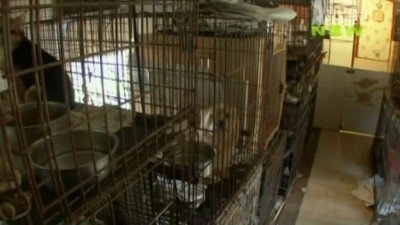Confessions: Animal Hoarding Season 1 Episode 2