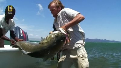 Fish Warrior Season 1 Episode 3