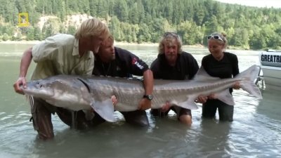 Fish Warrior Season 2 Episode 2