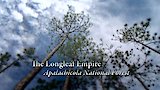 The Longleaf Empire - Appalachicola National Forest
