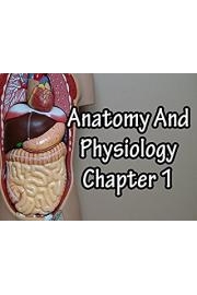 Anatomy And Physiology Chapter 1
