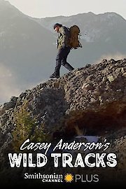 Casey Anderson's Wild Tracks