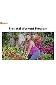 Prenatal Workout Program