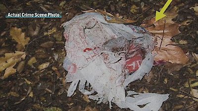 In Ice Cold Blood Season 1 Episode 6