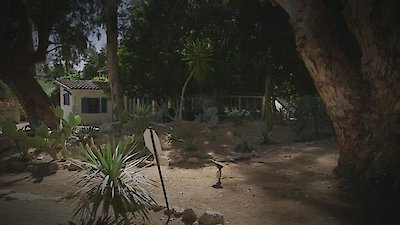 In Ice Cold Blood Season 1 Episode 8