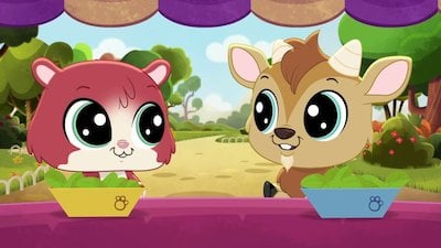 Littlest Pet Shop: A World of Our Own Season 1 Episode 5