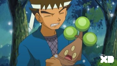 Pokemon the Series Season 9 Episode 11
