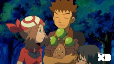 Pokemon the Series Season 9 Episode 18