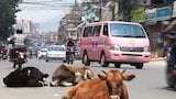 Love and Sorrow in Kathmandu