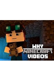 Why... - Videos in Minecraft