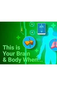 This Is Your Brain & Body When...