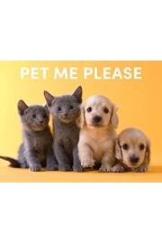 Pet Me Please