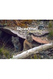 Mother Nature's World of Wildlife