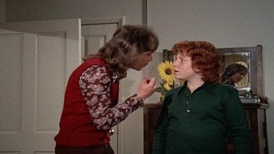 Partridge Family Season 4 Episode 19