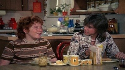 Partridge Family Season 4 Episode 20